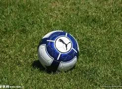 月比特币钱,包精选,安全存储指,B体育平台,B体育官方网站,B体育登录入口,B体育app下载