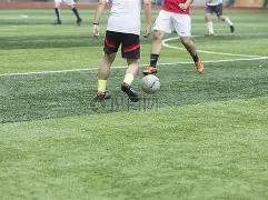 月比特币钱,包精选,安全存储指,B体育平台,B体育官方网站,B体育登录入口,B体育app下载