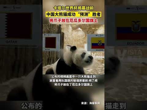 体育,产品,B体育,B体育平台,B体育官方网站,B体育登录入口,B体育app下载