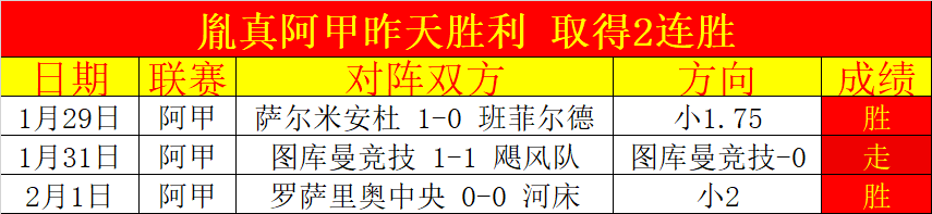 新南威尔士,女篮队续写,荣耀,B体育平台,B体育官方网站,B体育登录入口,B体育app下载
