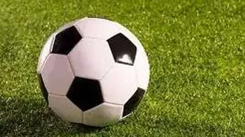 广东体育经济：全运转轨至经济新格局探析