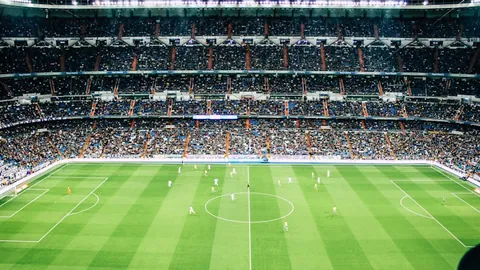 “丘索维金娜五十岁再披战袍，2025年2月20日重返竞技场”